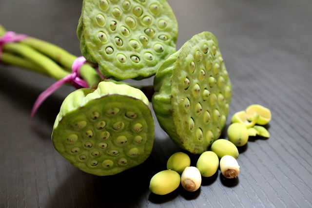 ���籭2022��ΧԤѡ��ֱ��