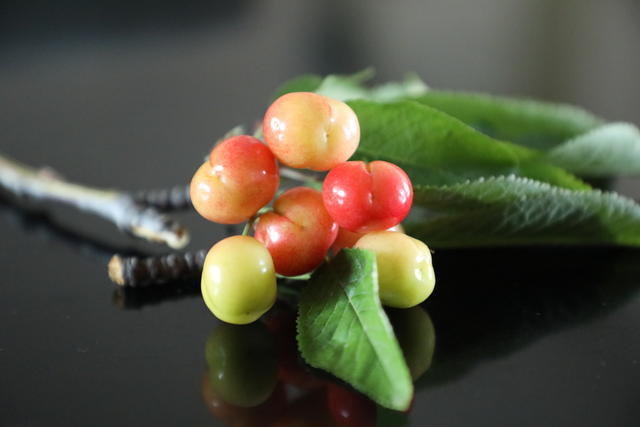 <a href=https://www.shuisutang.com.cn/ target=_blank class=infotextkey>ˮ����</a>