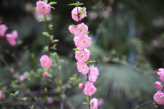 <a href=https://www.shuisutang.com.cn/ target=_blank class=infotextkey>ˮ����</a>