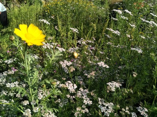 ��������ͰѴ����������