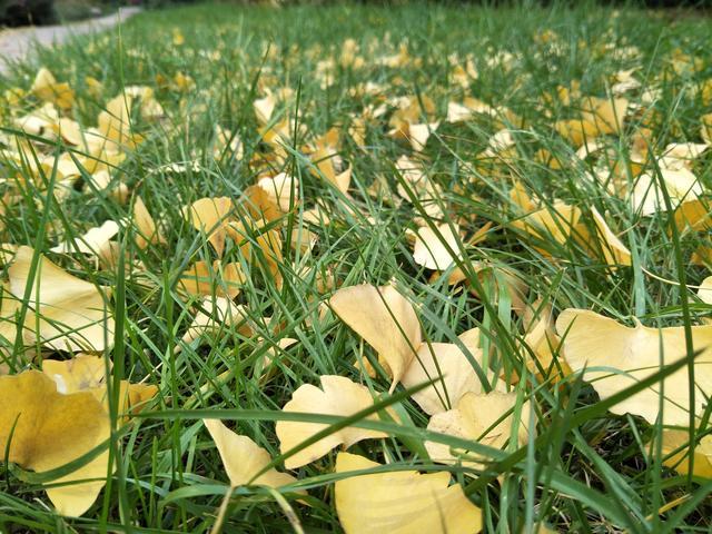 <a href=https://www.shuisutang.com.cn/ target=_blank class=infotextkey>水苏糖</a>