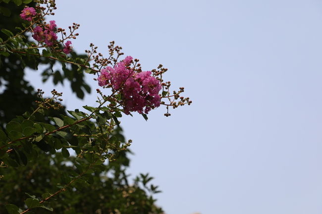 <a href=https://www.shuisutang.com.cn/ target=_blank class=infotextkey>ˮ����</a>