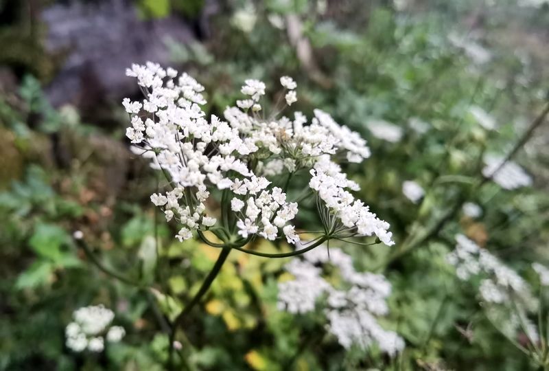 θ��������Ժ�ʲô��