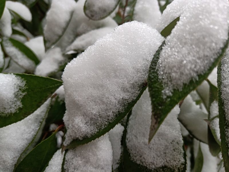 秘制肥牛怎么腌制