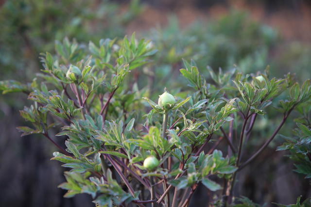 <a href=https://www.shuisutang.com.cn/ target=_blank class=infotextkey>ˮ����</a>