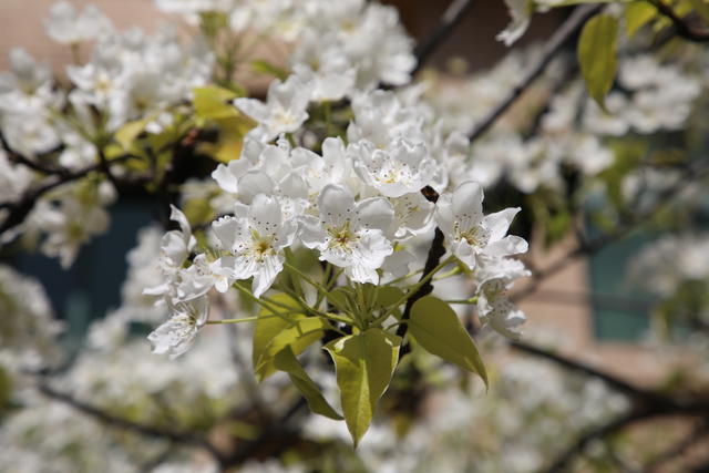 ����Ϊʲô���ݺ�����ɫ