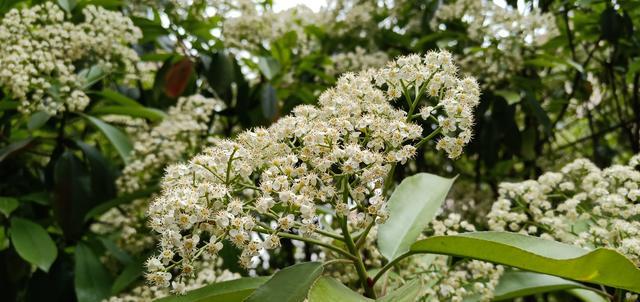 ��Ⱥʧ�����Բ����������