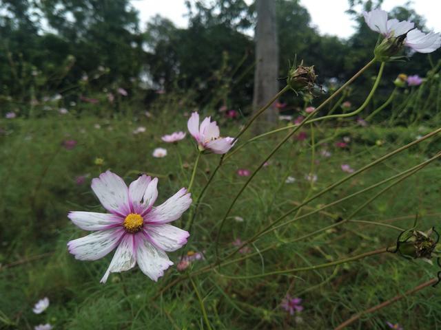胃病要多喝水还是少喝水