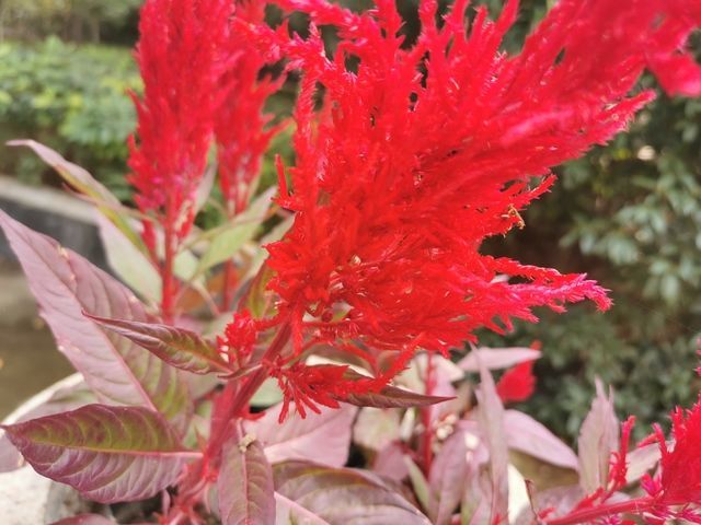 ʲô�ܼӿ쳦θ�䶯