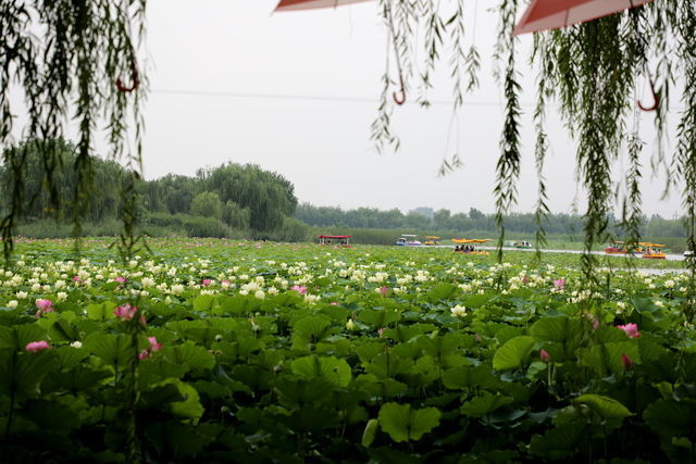 <a href=https://www.shuisutang.com.cn/ target=_blank class=infotextkey>ˮ����</a>