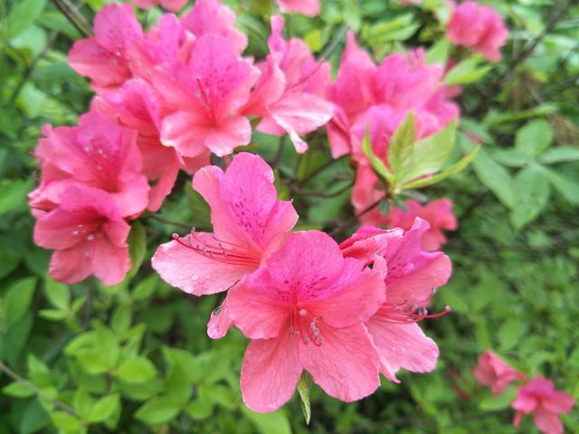 θ���������ҿ��ԳԷ�����