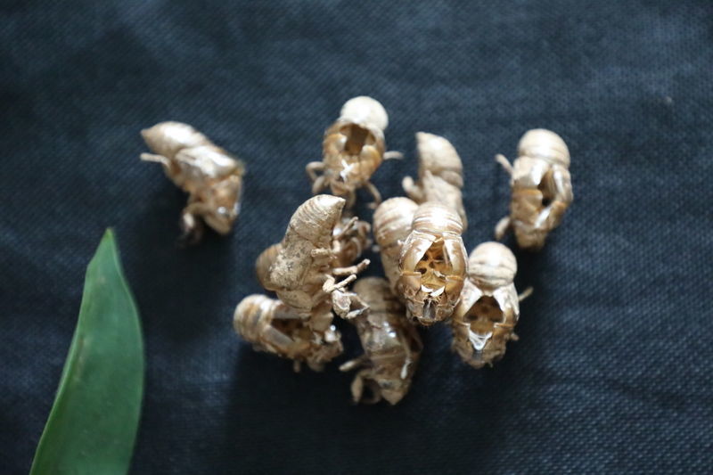 ����θ������������ô��