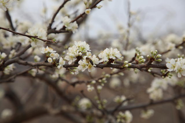 <a href=https://www.shuisutang.com.cn/ target=_blank class=infotextkey>ˮ����</a>