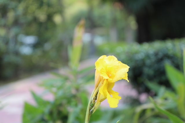 θ���ܳԴ��׷���