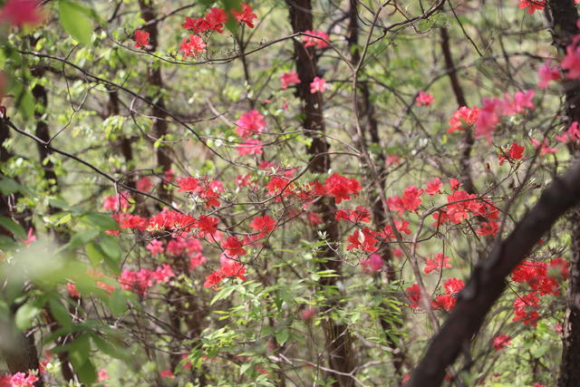 �۲˞�ʲô��(hu��)���ܳԆ�