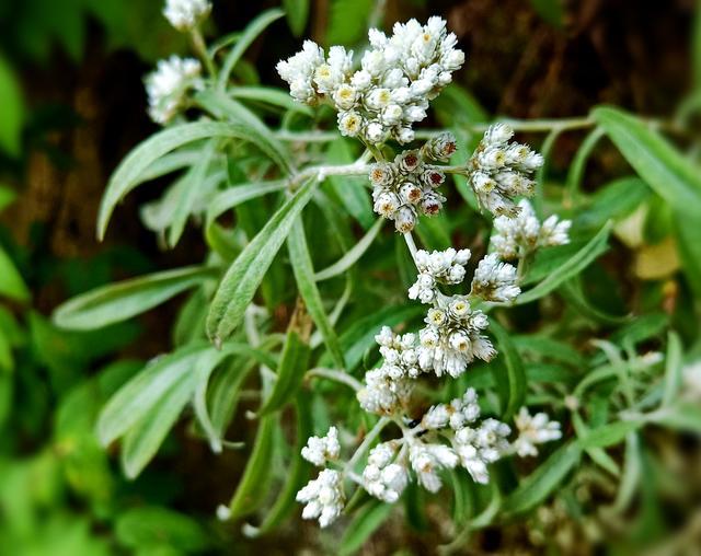 <a href=https://www.shuisutang.com.cn/ target=_blank class=infotextkey>ˮ����</a>