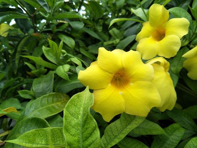 �ʺ�����ô��ʰ����