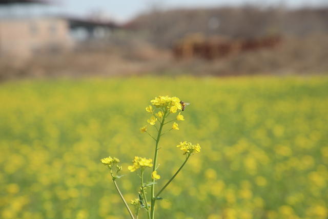 世界杯2022外围预选赛直播