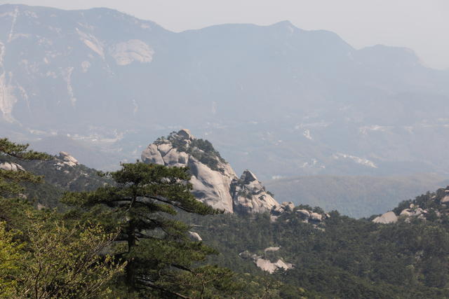 ��ֻ������ô����