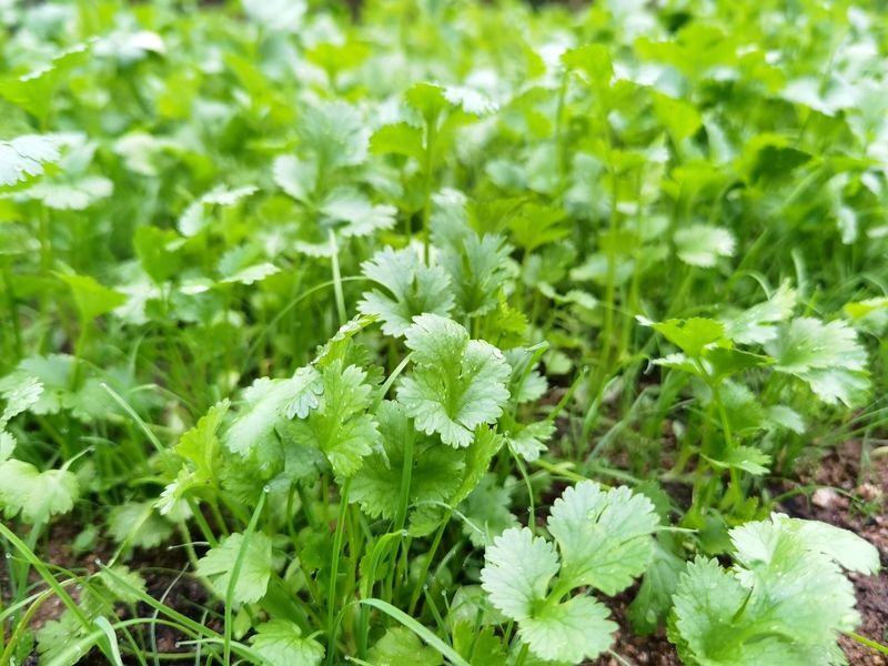 <a href=https://www.shuisutang.com.cn/ target=_blank class=infotextkey>ˮ����</a>