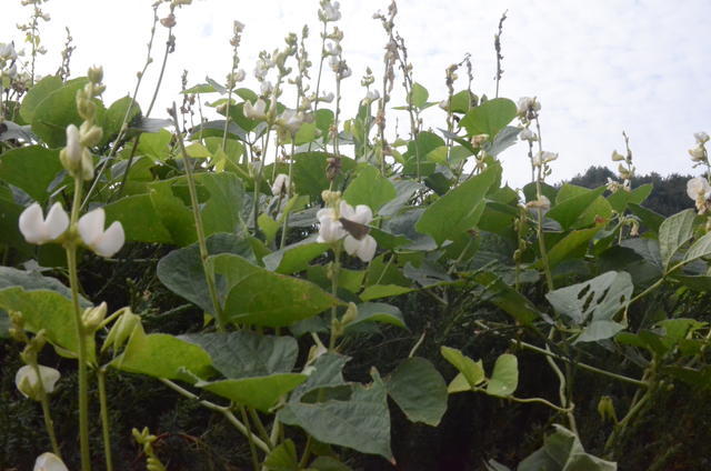 <a href=https://www.shuisutang.com.cn/ target=_blank class=infotextkey>ˮ����</a>