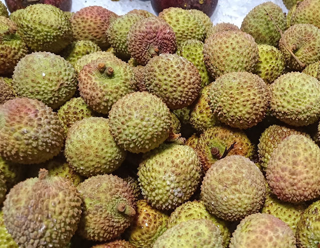 ���מ�ʲô�кܶ����