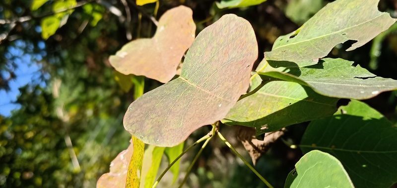 <a href=https://www.shuisutang.com.cn/ target=_blank class=infotextkey>ˮ����</a>