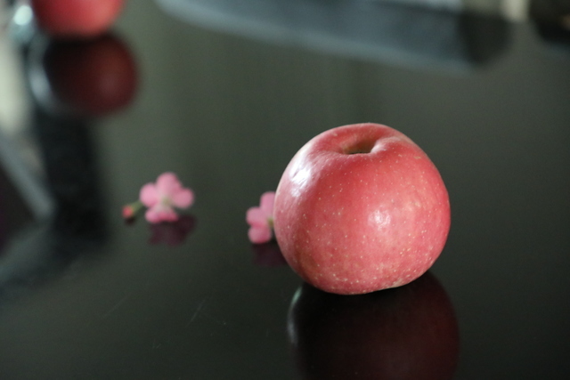 <a href=https://www.shuisutang.com.cn/ target=_blank class=infotextkey>ˮ����</a>