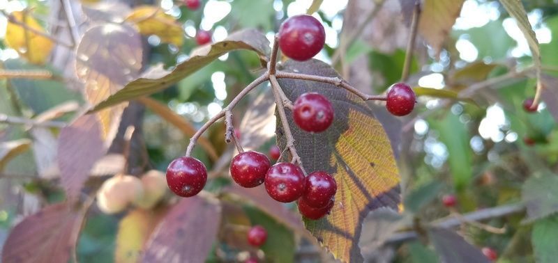 «��������ô��