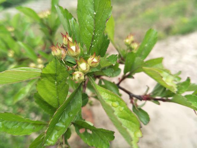 ţ���ʲô���ó��·�