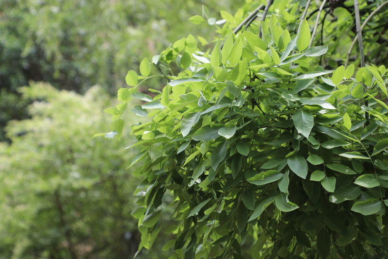 �������岻ͣ����������ô��