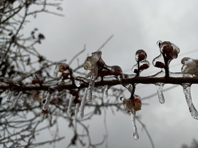 <a href=https://www.shuisutang.com.cn/ target=_blank class=infotextkey>ˮ����</a>