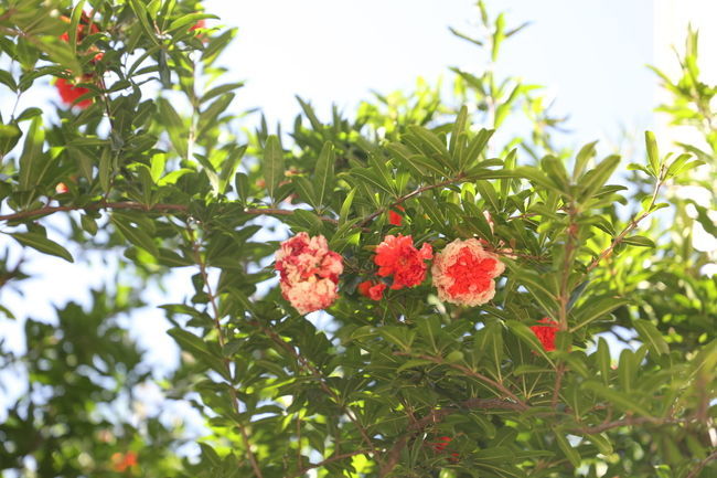 ��θ��������