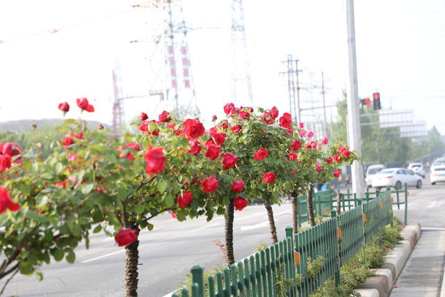 <a href=https://www.shuisutang.com.cn/ target=_blank class=infotextkey>ˮ����</a>