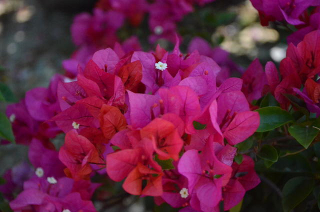 方便面怎么做的好吃又有营养