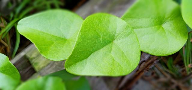 肉米饭怎么做好吃窍门