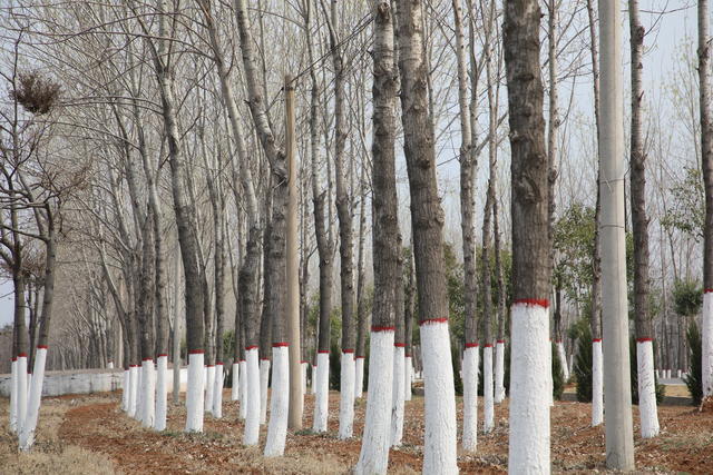 С������ô�B(y��ng)Ƣθʳ��