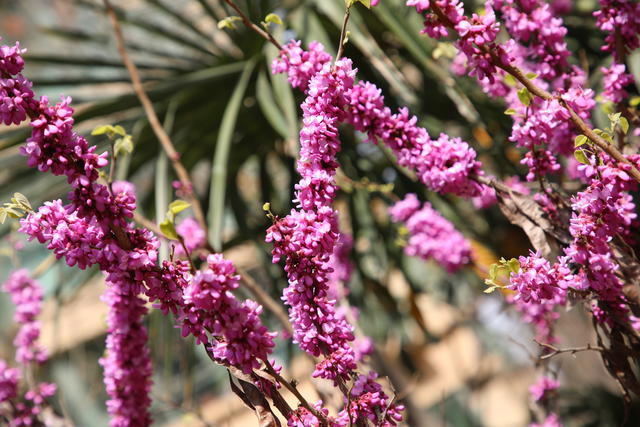 ���籭2022��ΧԤѡ��ֱ��