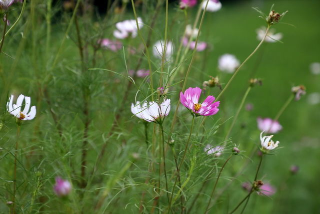 世界杯2022外围预选赛直播