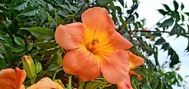 ������θ��������ʳ��