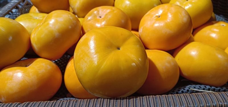 <a href=https://www.shuisutang.com.cn/ target=_blank class=infotextkey>ˮ����</a>