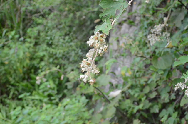 ��ƨ�ر����ʲô��