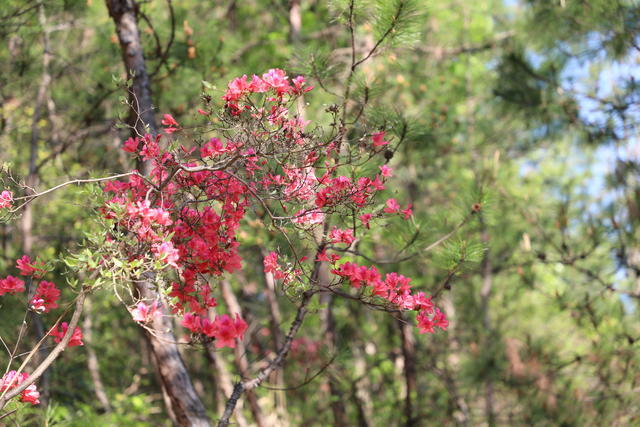 ���Գ�θ��һ����Һ�����ܺ�