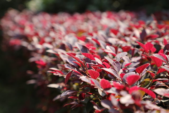 �Ͳ���ô���������ó�