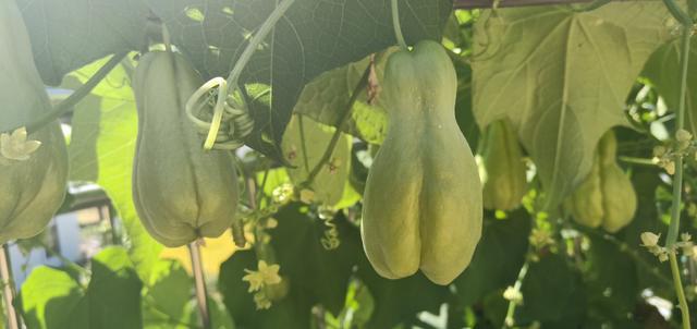 ������θ����