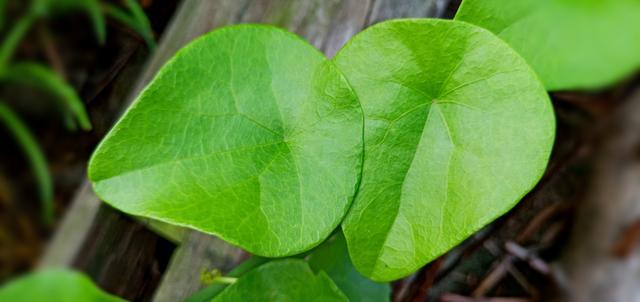 ���Ӽ�����Ϻ��һ�����