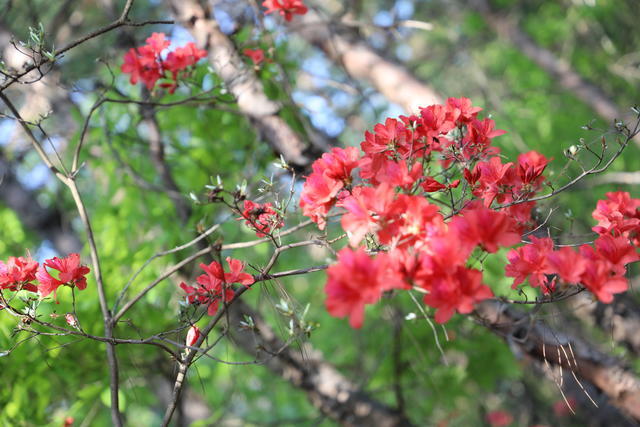 <a href=https://www.shuisutang.com.cn/ target=_blank class=infotextkey>ˮ����</a>