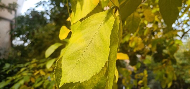 θ�c�����ʲôԭ�������