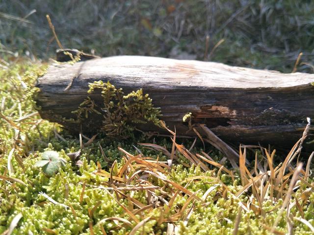 ����θ�׺�ʲô���