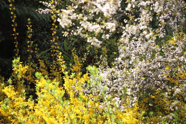 ���ױ��ص��˳�ʲô